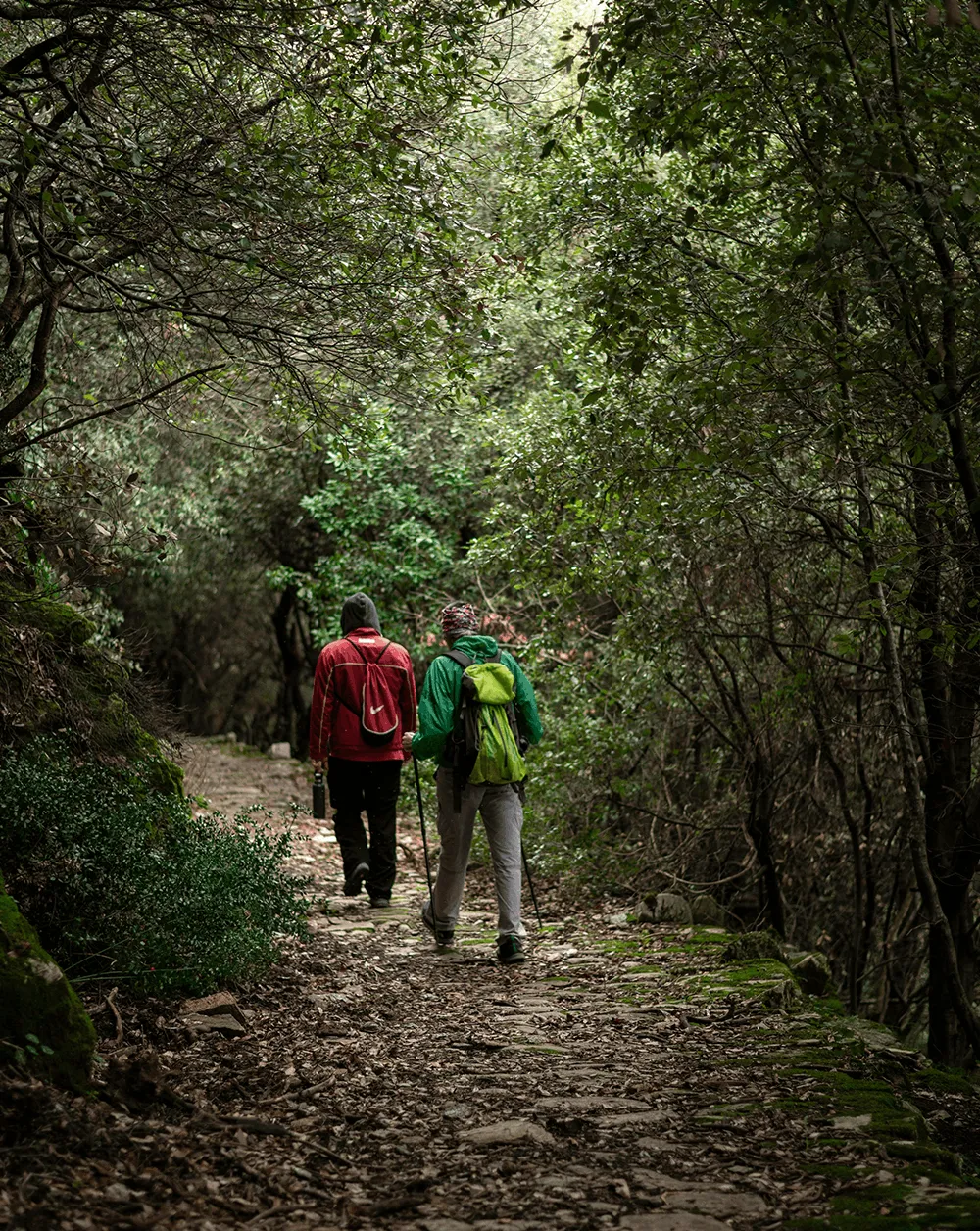 Two hikers walking together along a forest trail surrounded by lush green trees, illustrating the active outdoor lifestyle patients can return to following same day outpatient surgery with Dr. Jeffrey A. Geller MD.