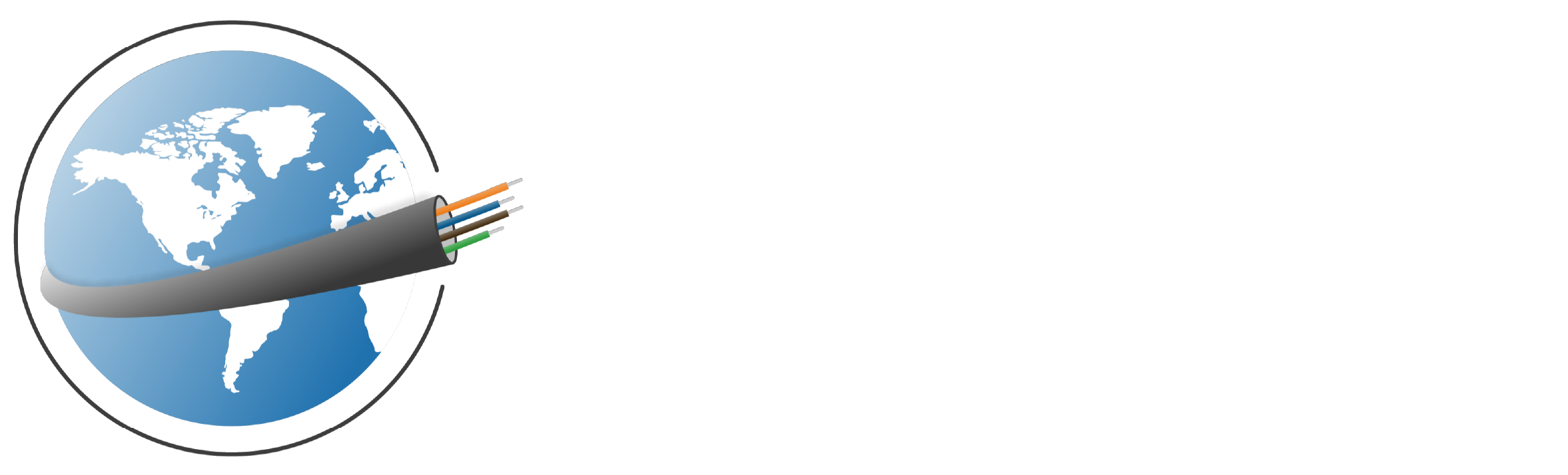 Data Link Global LLC logo with a globe and a fiber optic cable wrapping around it.