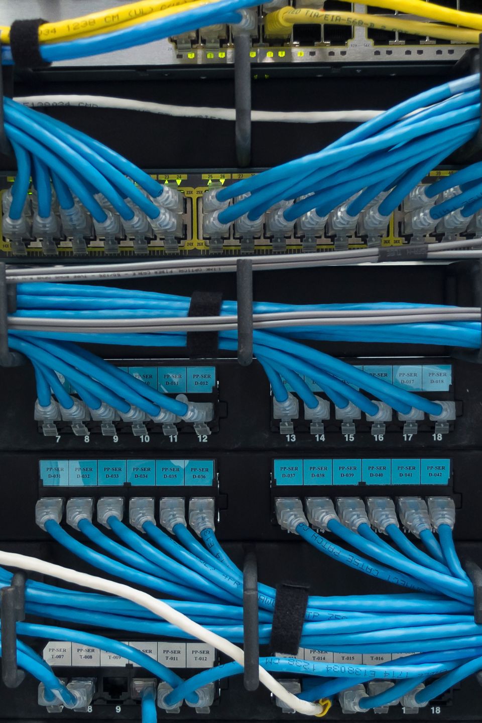 Close-up view of network patch panel with organized blue Ethernet cables connected to numbered ports.