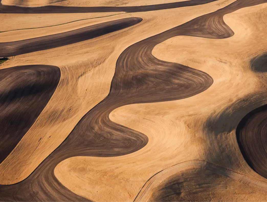Aerial view of farmland with curving plowed fields in contrasting light and dark soil.