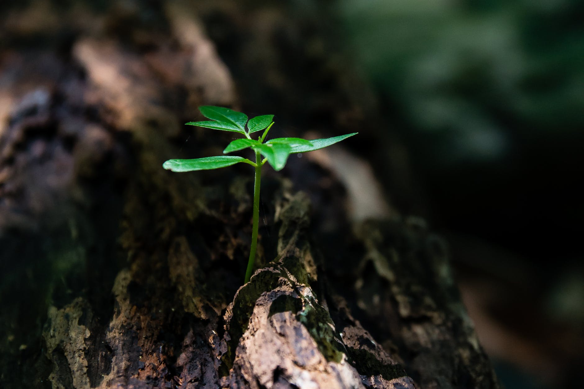 ESG Reporting in Hong Kong