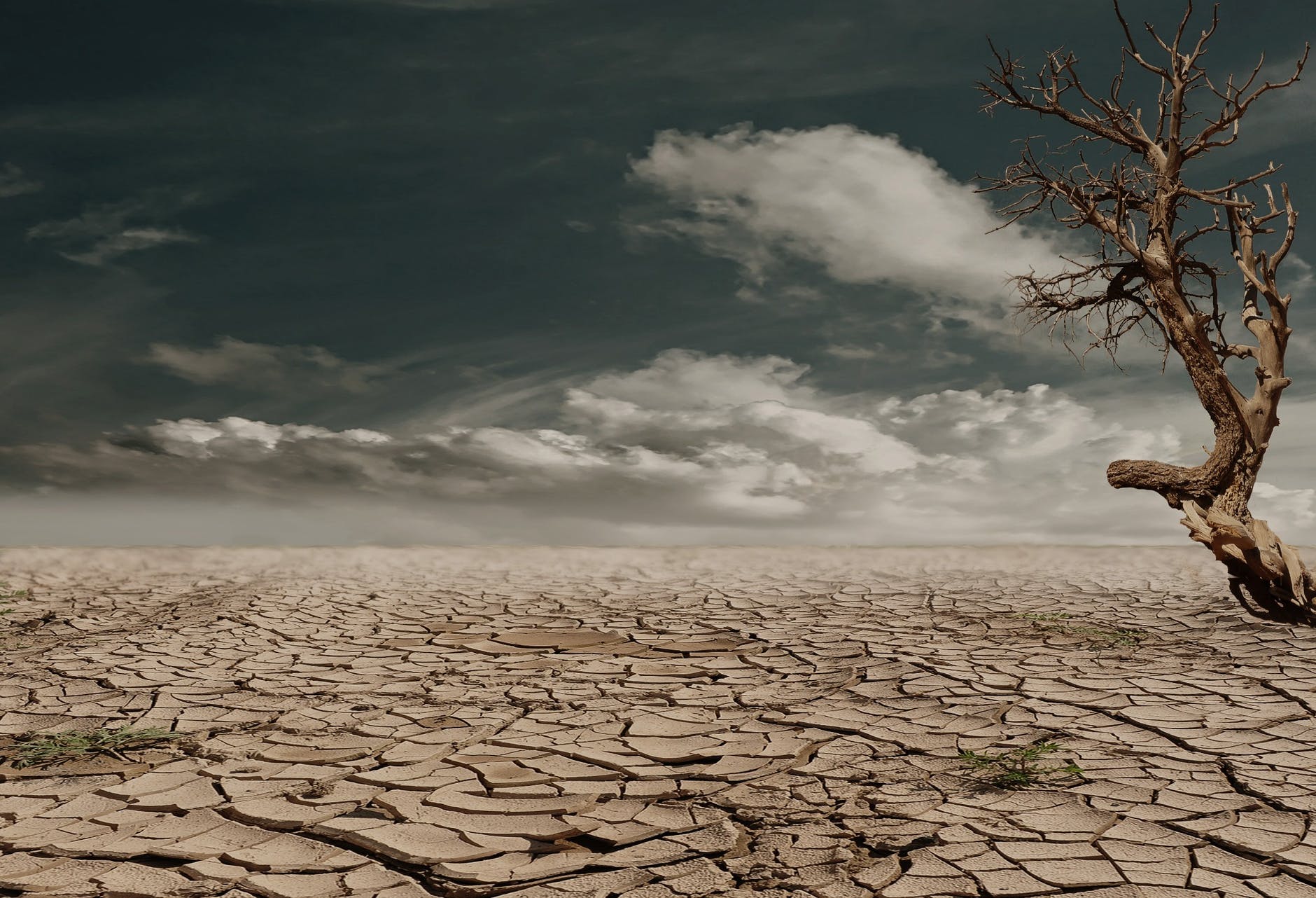Best Sustainability Reporting Software