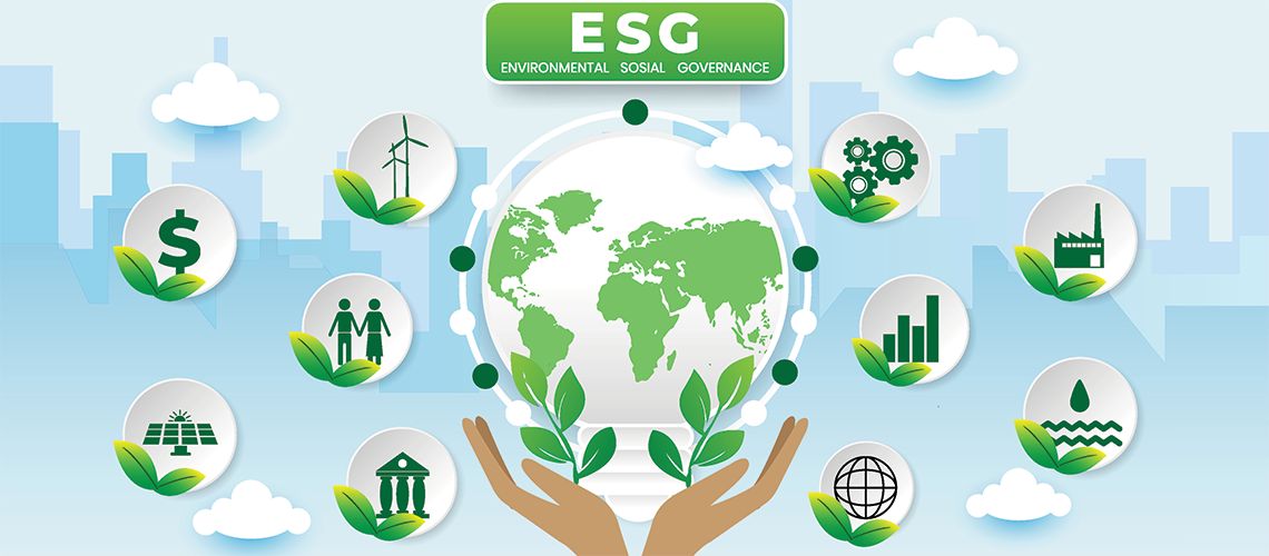 Value of Sustainability Reporting