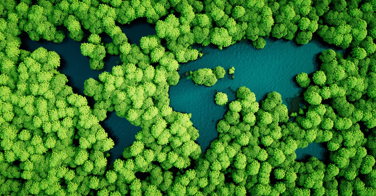 Bird's eye view of the world map displayed by trees