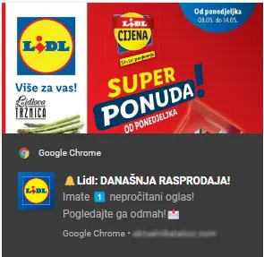web push notification magnuso roi