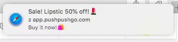 web push on safari