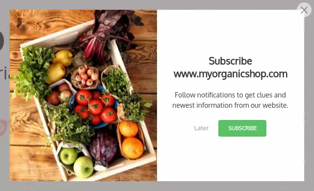 sign up form centered