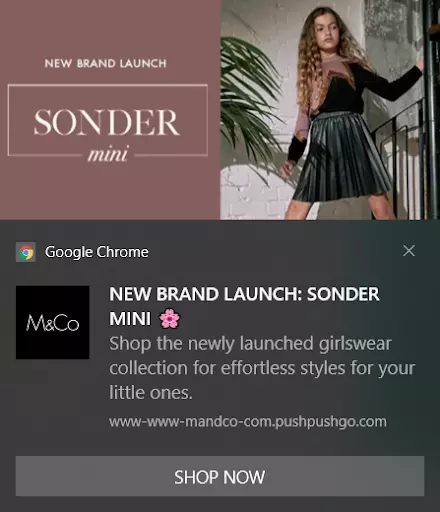 web-push-call-to-action