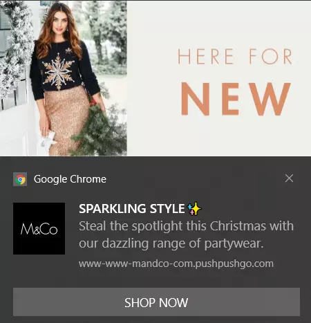 web-push-retargeting