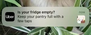 mobile-push-notification-example