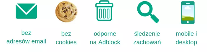 web push notyfikacje opis