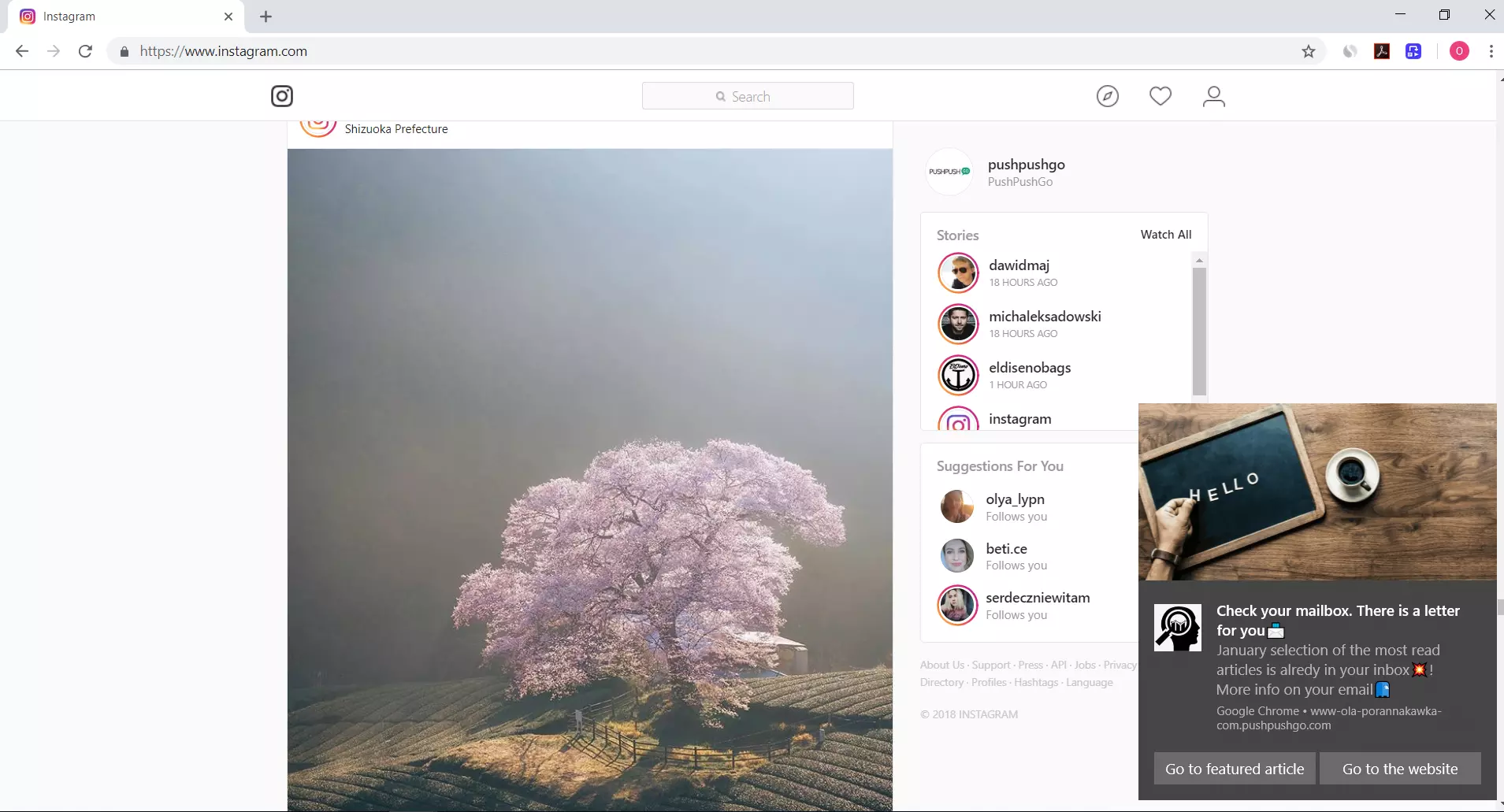 web-push-insagram