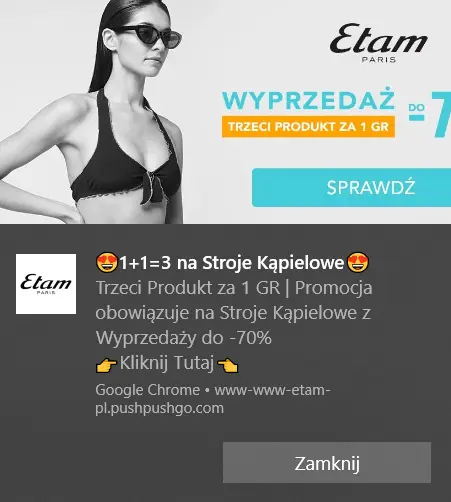 sprzedaz-w-sklepie-internetowym-web-push