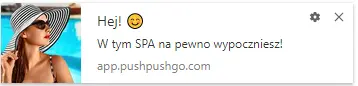 powiadomienia web push-travelist