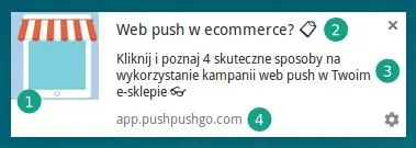 powiadomienia web push w e-commerce