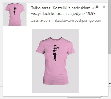 wplyw-przegladarki powiadomienia web push
