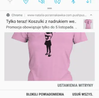 wplyw-przegladarki powiadomienia web push