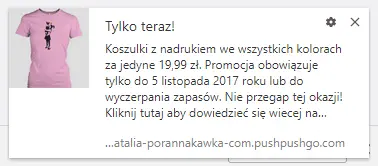 wplyw-przegladarki powiadomienia web push