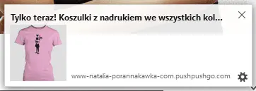 wpłył przeglądarki web push notyfikacje