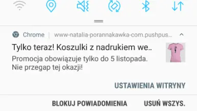 wplyw-przegladarki powiadomienia web push