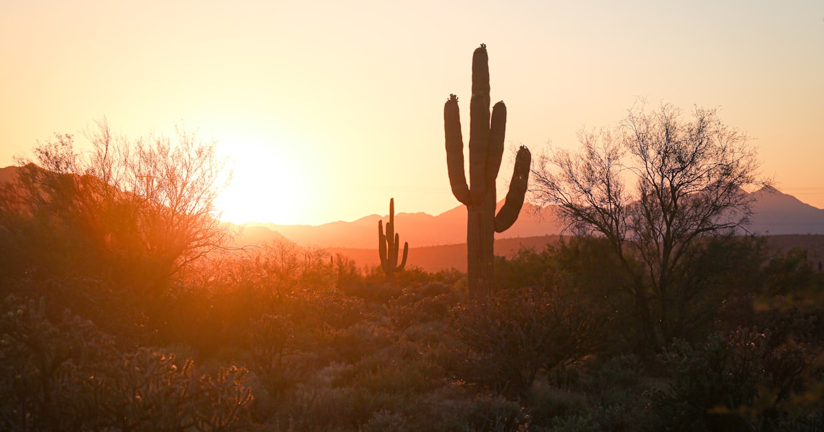 How to Domesticate an Out-of-State Subpoena in Arizona