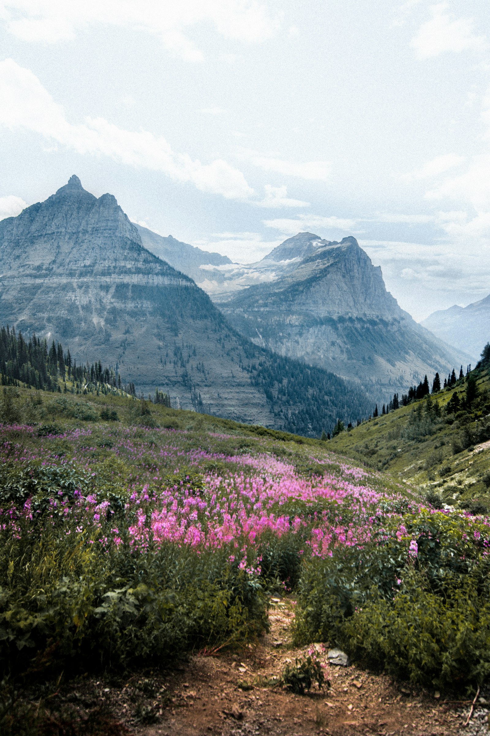 How to Domesticate an Out-of-State Subpoena in Montana
