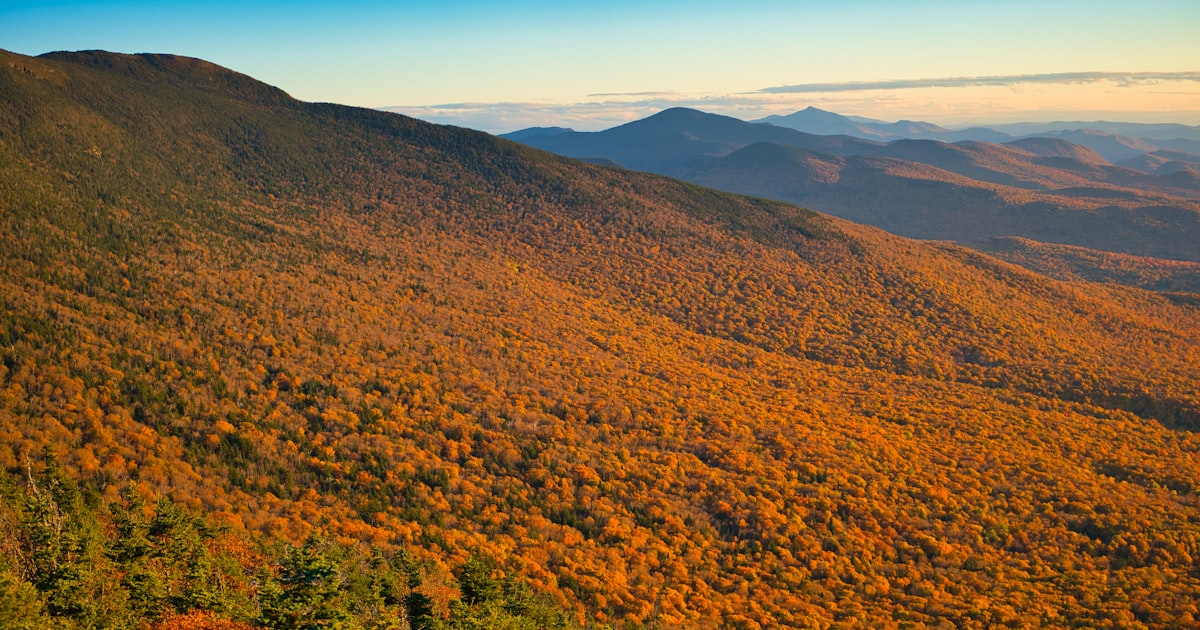 How to Serve Documents in Vermont: A Step-by-Step Guide