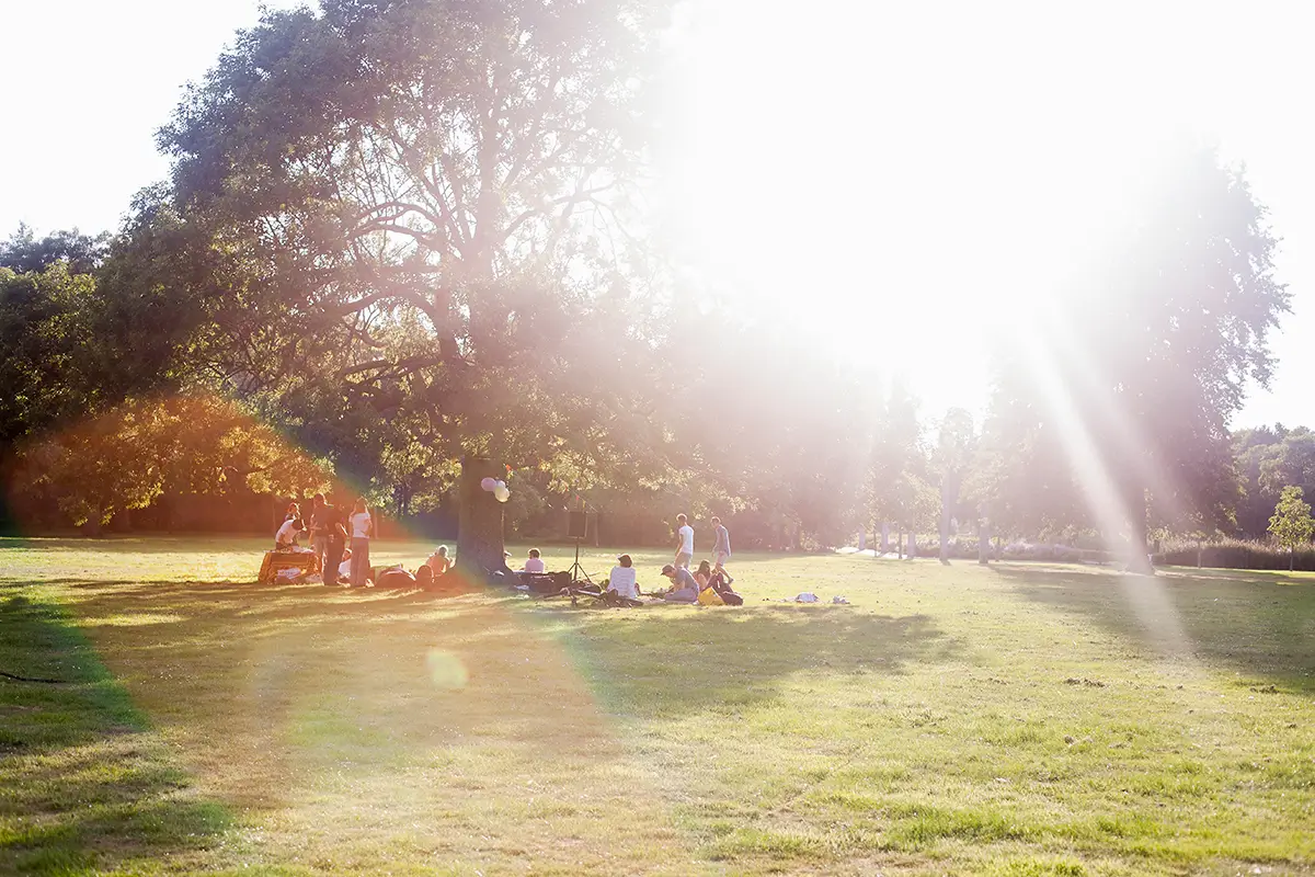 Group of people enjoying a sunny day under a large tree in a grassy park.