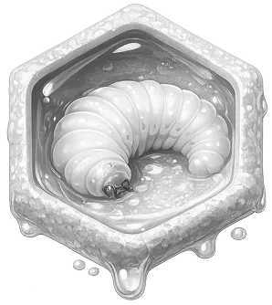 Gray hexagonal honeycomb cell with a curled larva inside, dripping honey at the edges.