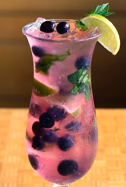 Tall clear glass with a pink cocktail containing blueberries, mint leaves, ice cubes, lime wedges, garnished with a lemon wedge and mint sprig on the rim.