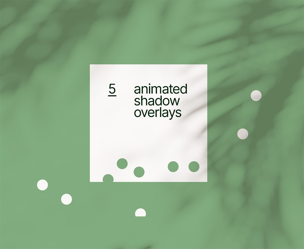 Example of our animated light and shadow overlays