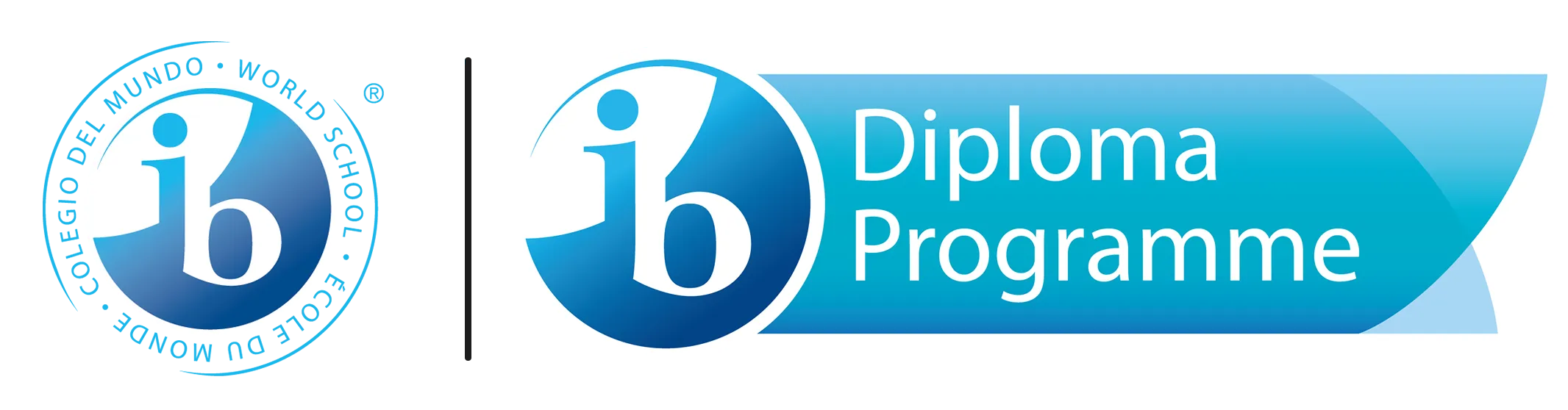 International Baccalaureate Diploma Programme logo with blue circle and text on a banner.