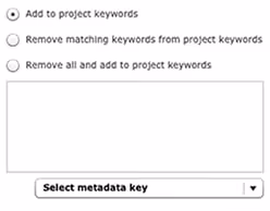 Project keywords action SM
