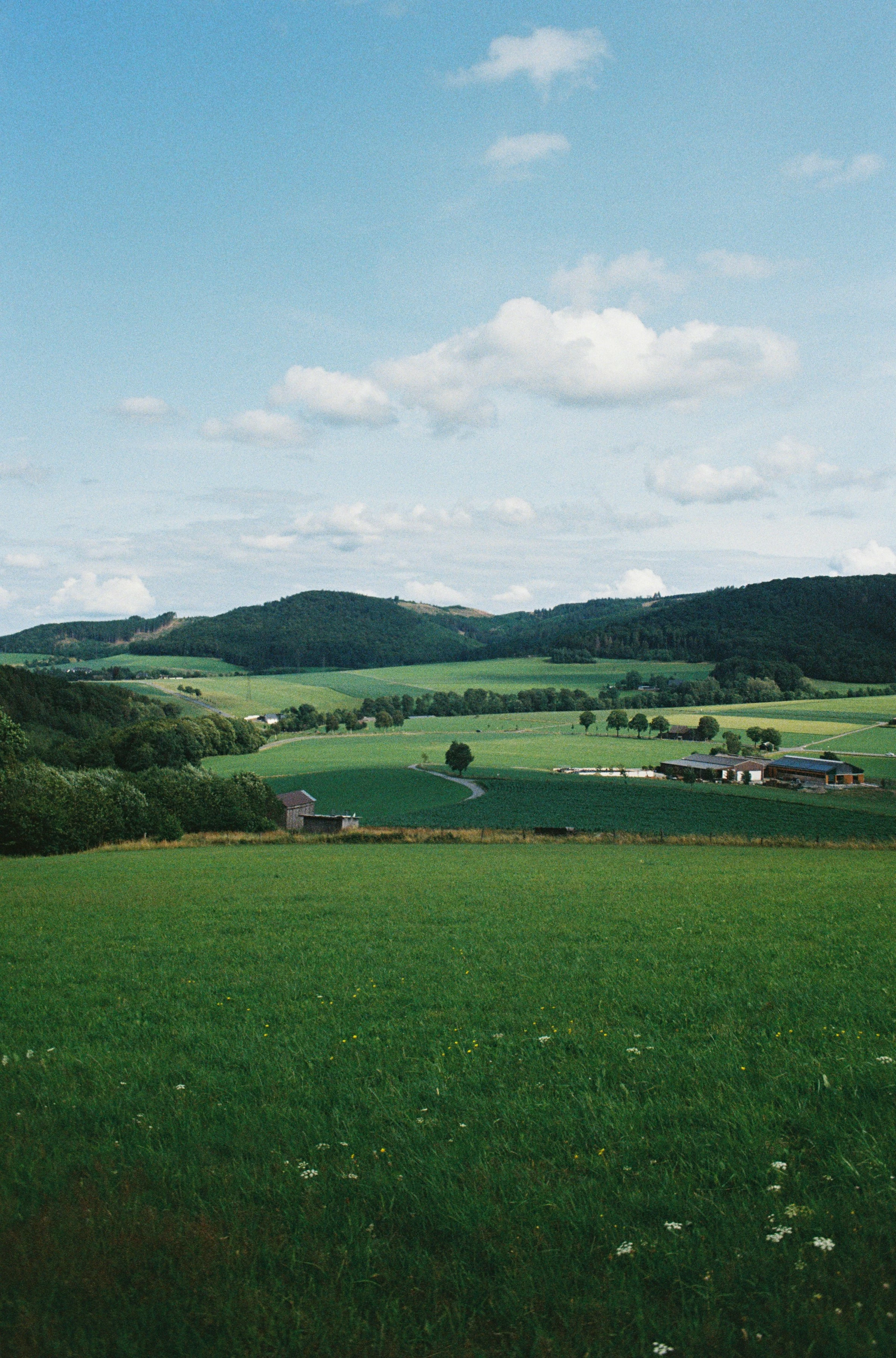 Landschaftsbild aus dem Kreis Minden-Lübbecke – ausgezeichnet für moderne Behördenkommunikation