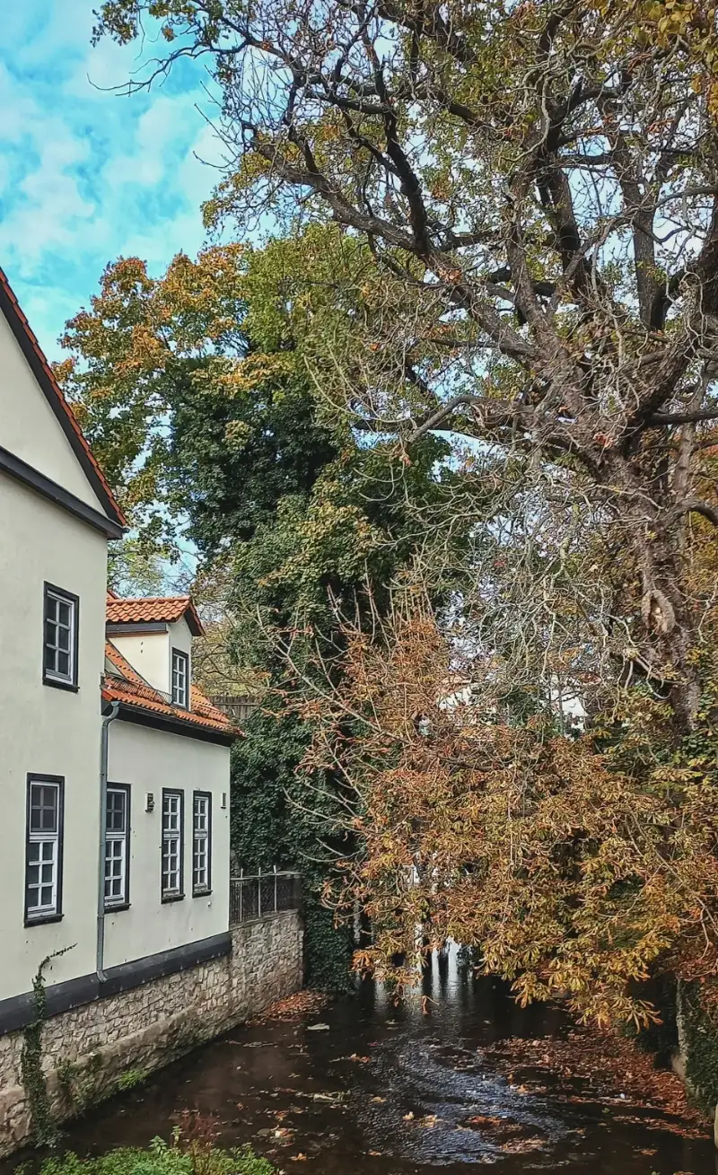 Blick auf Göttingen – Ehrenbehörde für digitale Sichtbarkeit und Verwaltungsdialog via Instagram