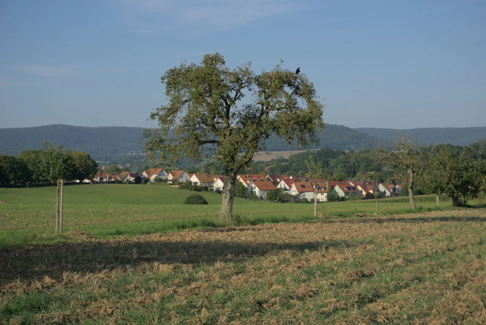 Landschaftsaufnahme von Etteln – Ehrenbehörde für digitale Verwaltung im Dorfkontext