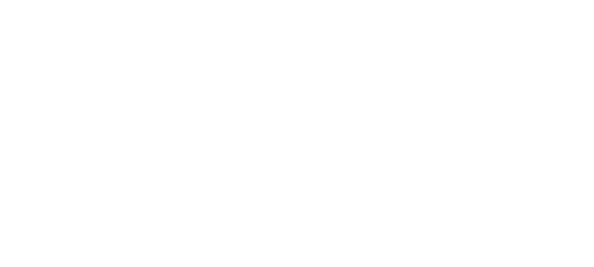 Jet Fly Aviation