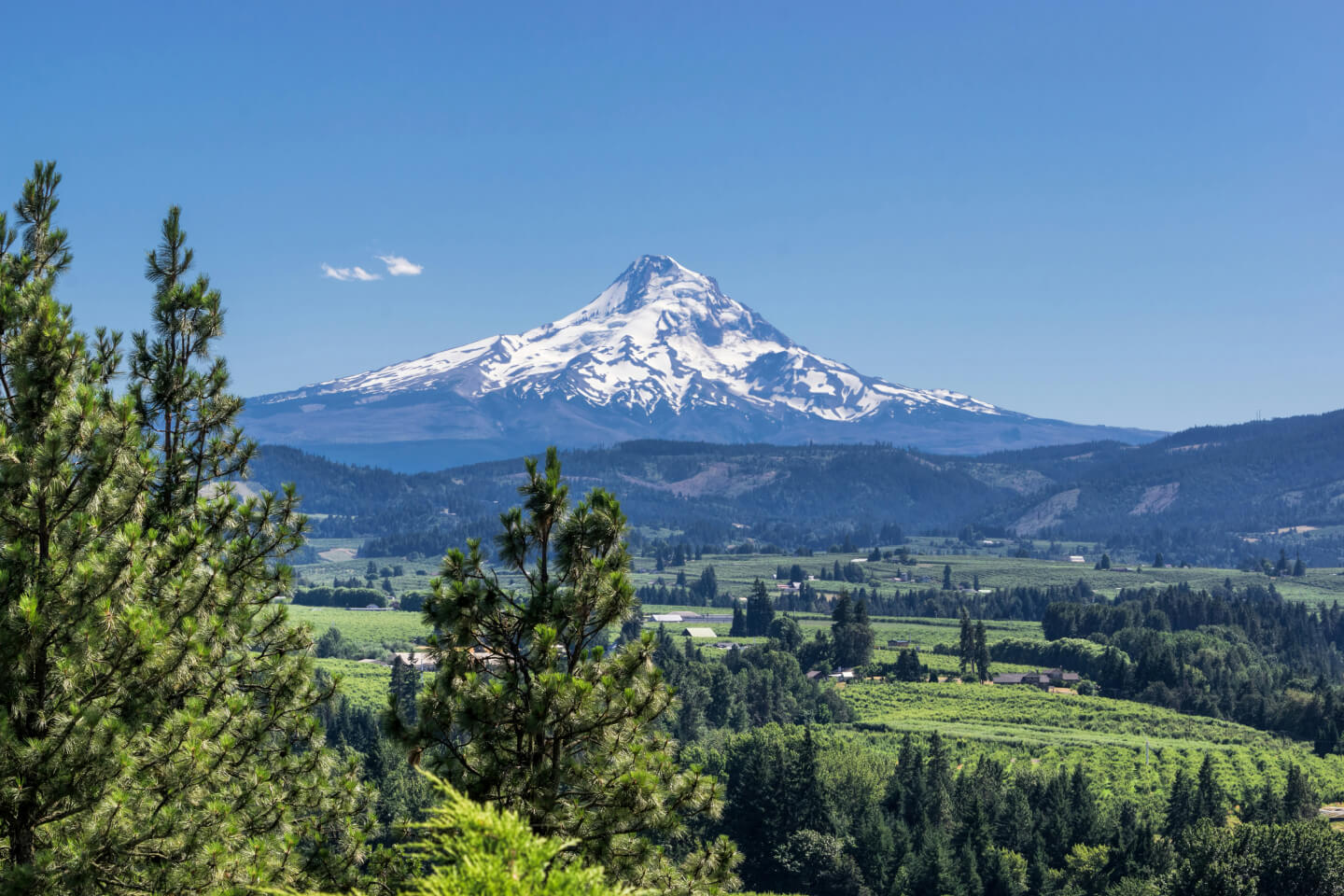 Car Shipping in Roseburg, Oregon | Victor's Transport LLC