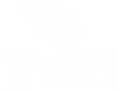 Tennessee Titans logo with a flaming circular emblem above the word Titans in bold, stylized letters.