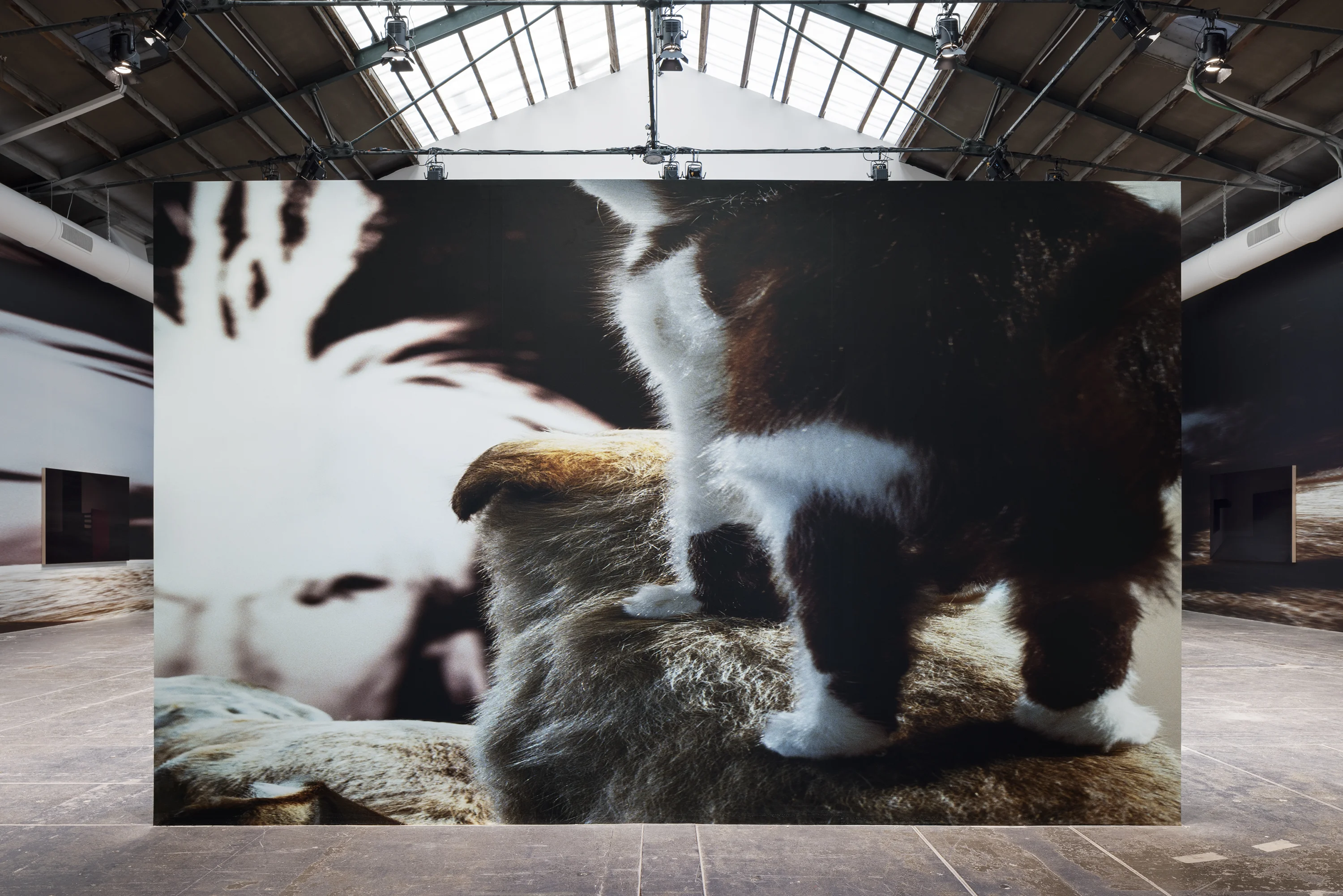 Louise Lawler, No Exit — installation at the Venice Biennale