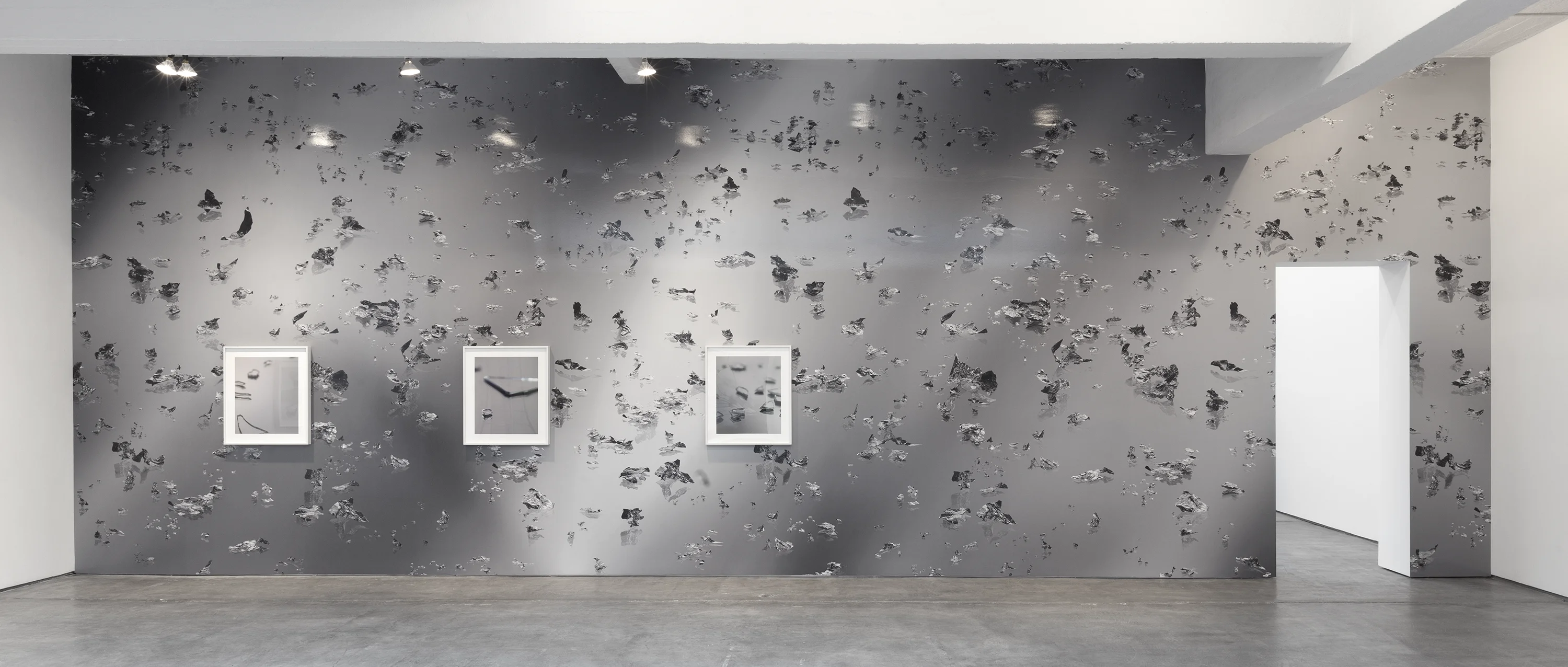 Bing Wright — installation at Paula Cooper Gallery