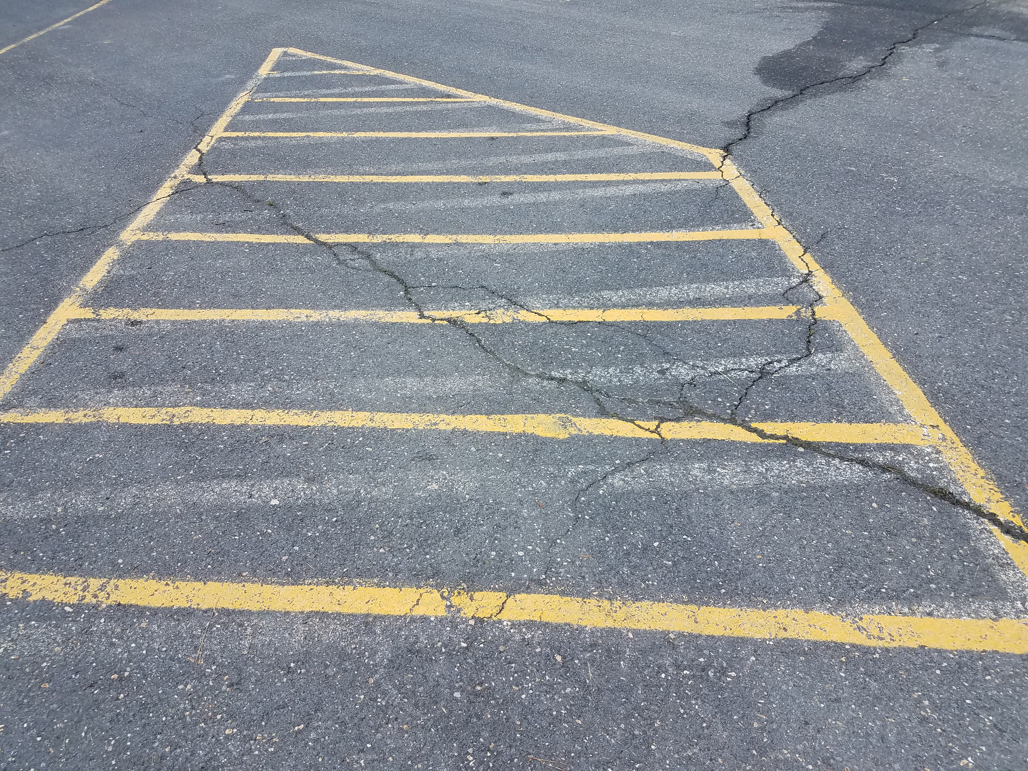 The real cost of ignoring cracks in your commercial parking lot