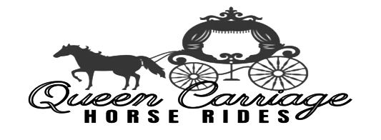 Queen Carriage Horse Rides Logo, a grey Horse connected to a carriage with its leg up with black text displaying, Queen Carriage (indent) Horse Rides below.