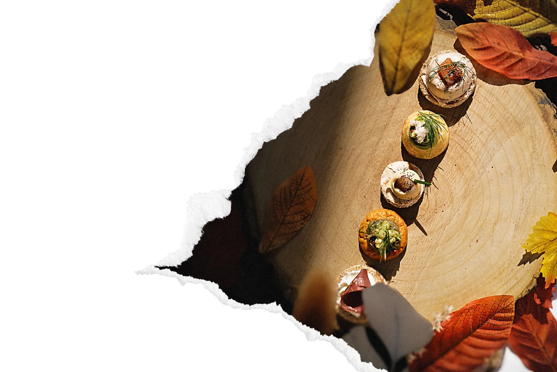Mise en scène automnale de verrines et mignardises présentées sur rondins de bois entourés de feuilles colorées, signature cocktail dinatoire haut-de-gamme A Votre Goût.