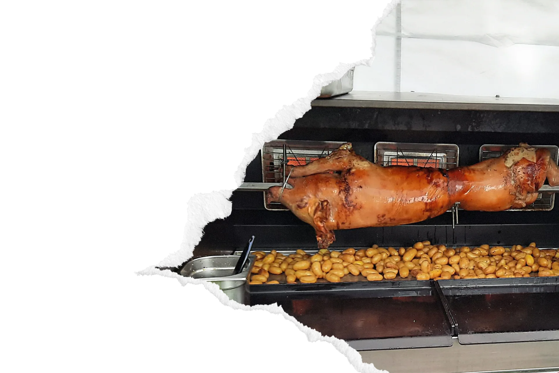 Cochon de lait rôti à la broche au-dessus d'un lit de pommes de terre confites dans une rôtisserie professionnelle, prêt à être servi.
