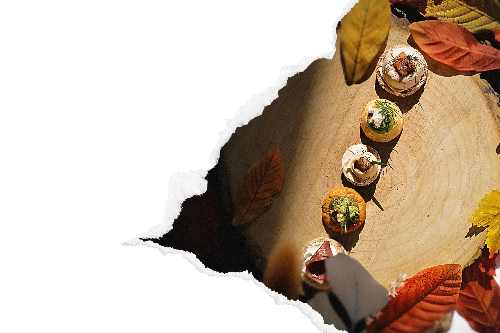 Mise en scène automnale de verrines et mignardises présentées sur rondins de bois entourés de feuilles colorées, signature cocktail dinatoire haut-de-gamme A Votre Goût.