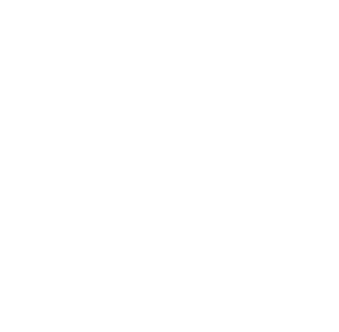 white vector