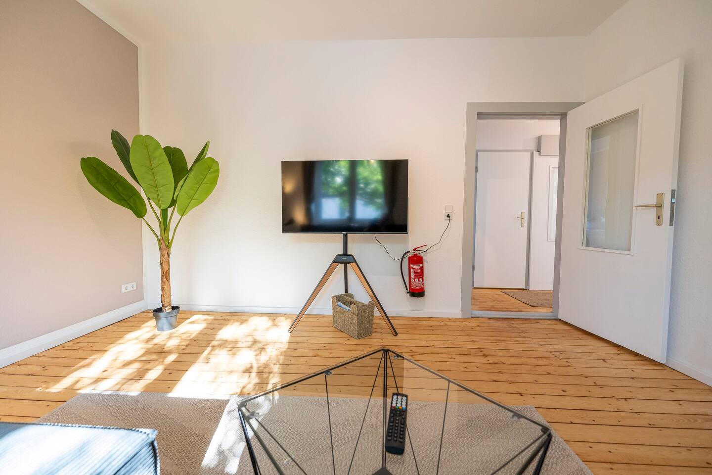 Smart TV for entertainment