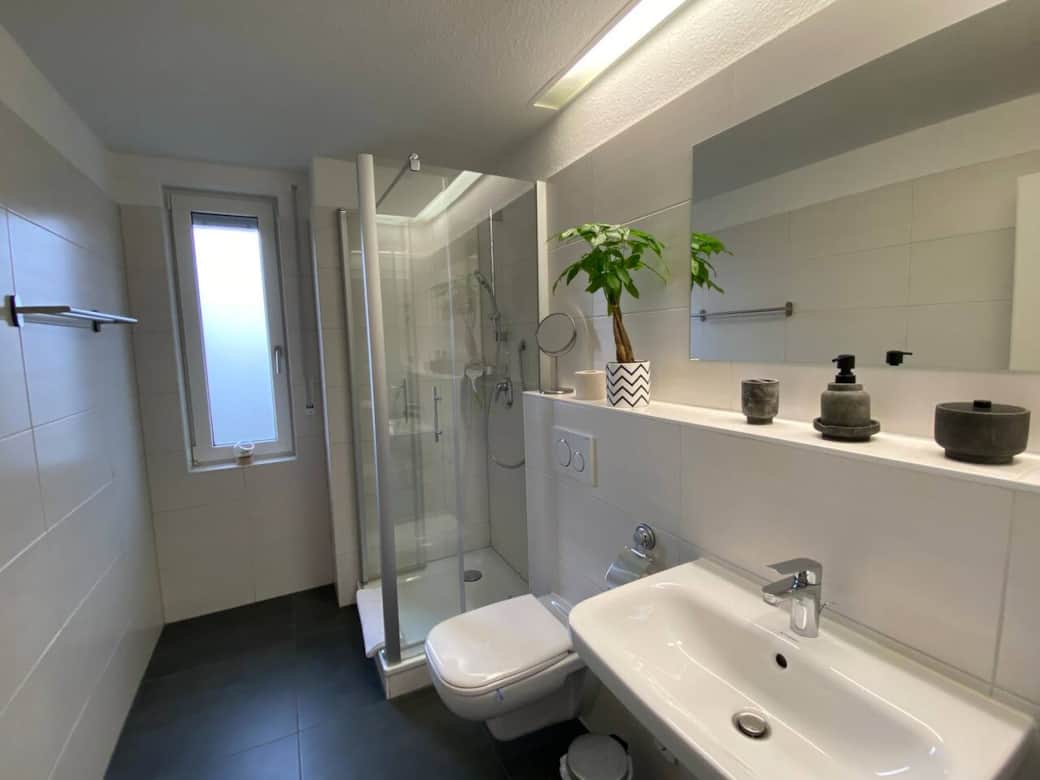 Modern bathroom with shower