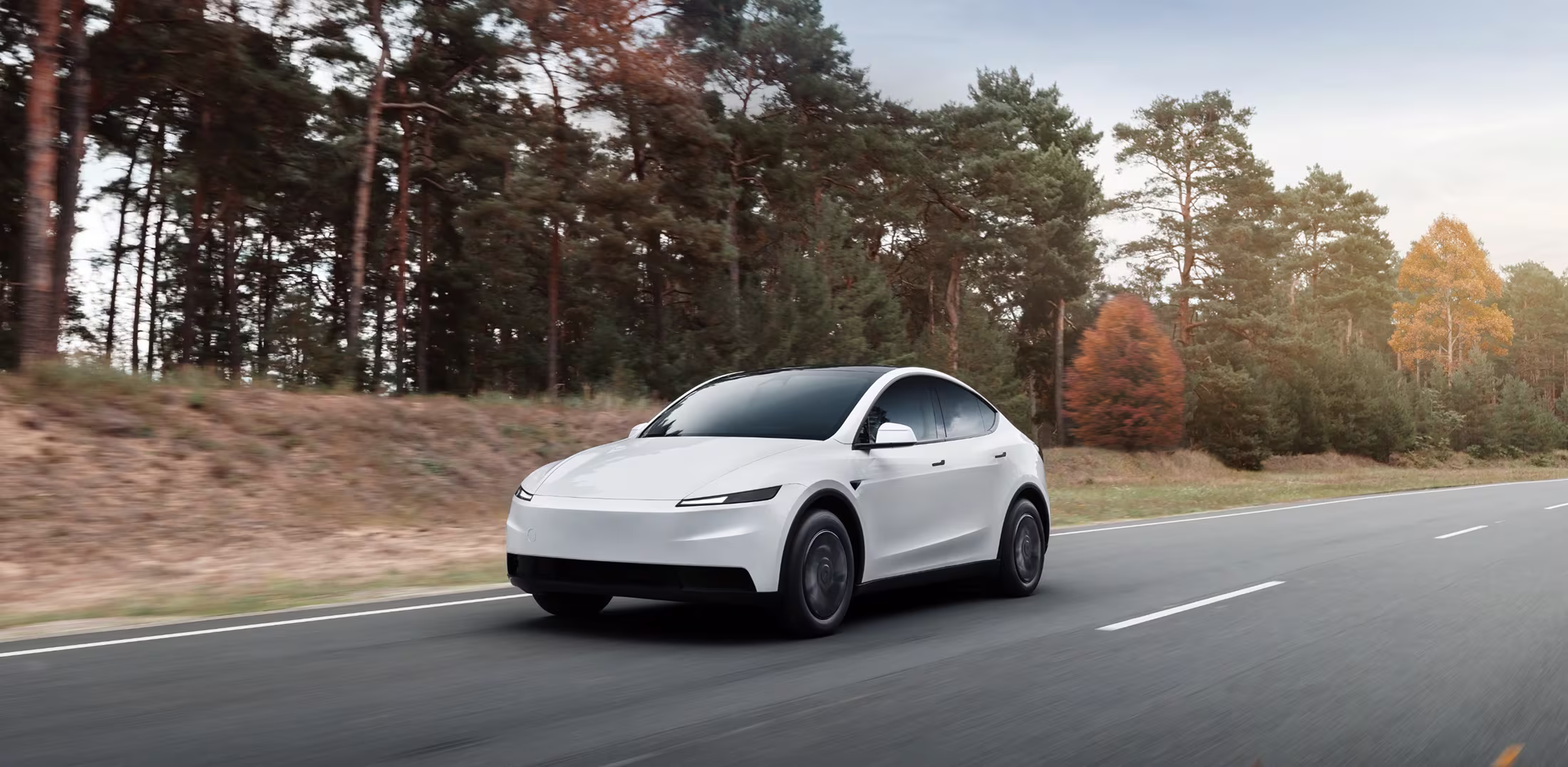 LLD Tesla Model Y Propulsion 256 ch sur 49 mois, 80 000 km, à 483 € HT/mois sans apport. SUV familial 534 km WLTP, Crit'Air 0, interlocuteur unique.